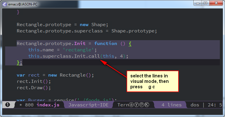 shows some lines selected in a Vim visual mode